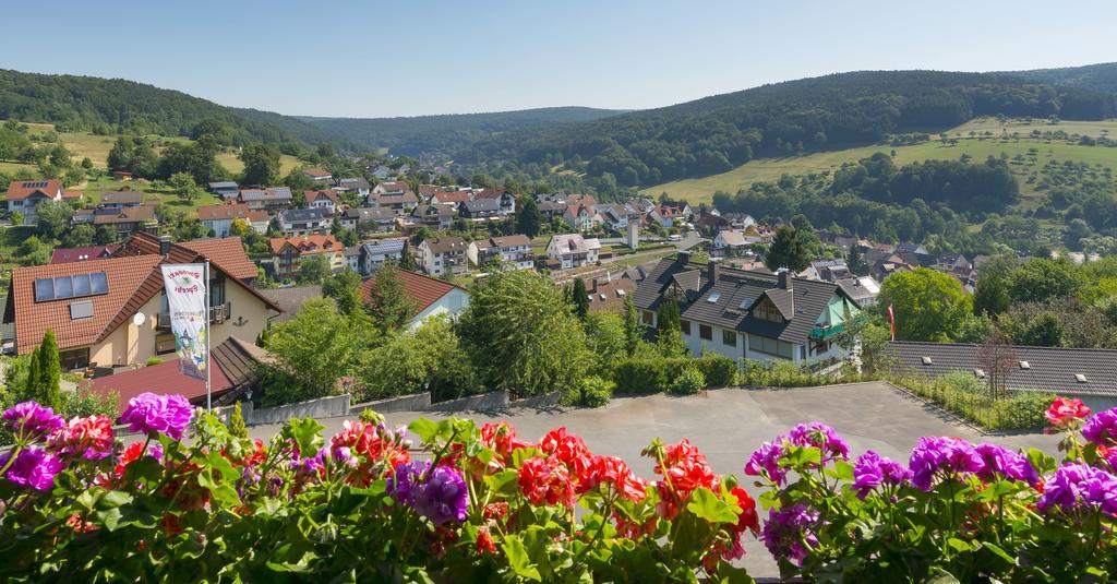 Panorama Hotel Heimbuchenthal Экстерьер фото